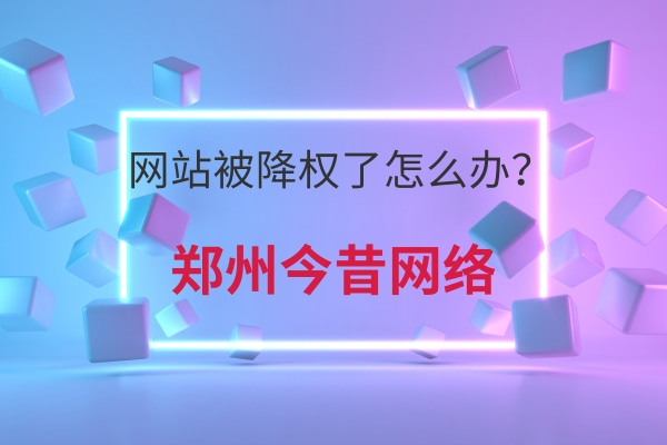 網站被降權了怎么辦?