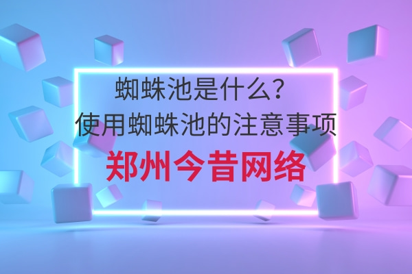 蜘蛛池是什么?使用蜘蛛池的注意事項