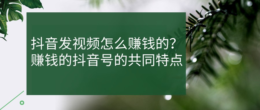 抖音發視頻怎么賺錢的?賺錢的抖音號的共同特點