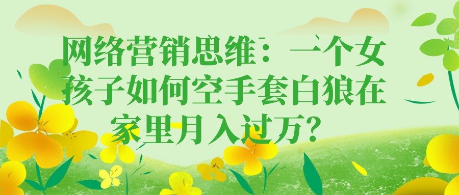 網絡營銷思維:一個女孩子如何空手套白狼在家里月入過萬?