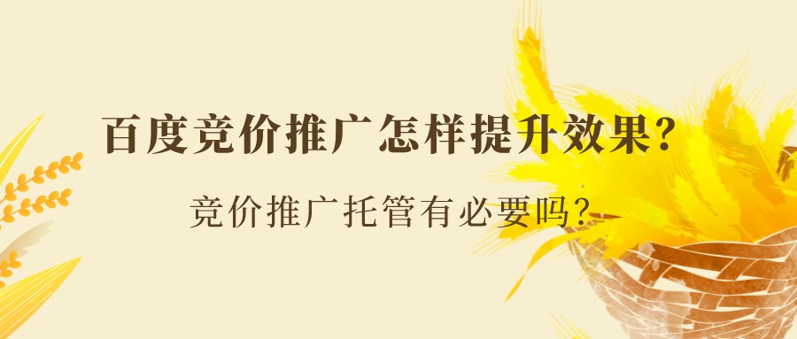 百度競價推廣怎樣提升效果?競價推廣托管有必要嗎?