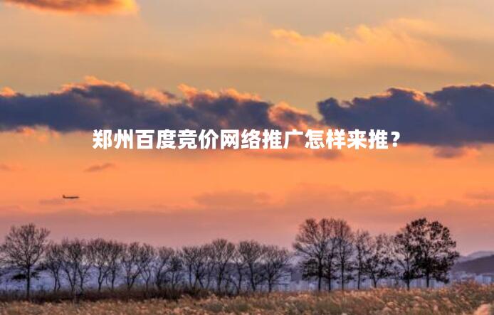 鄭州百度競價網絡推廣怎樣來推?