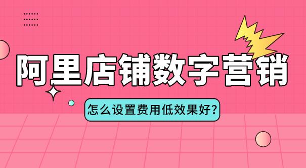 阿里店鋪數字營銷怎么設置費用低效果好?