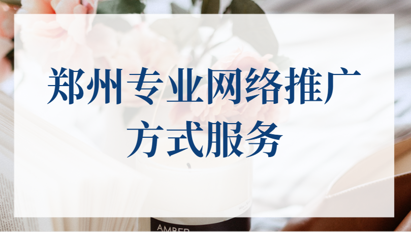 鄭州專業網絡推廣方式服務